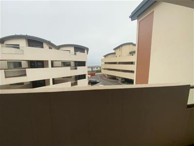 Picture 14